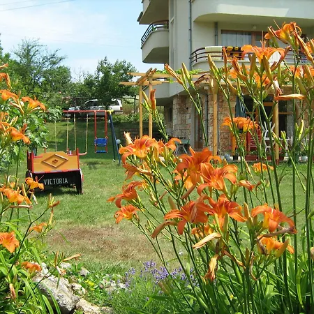 Victoria Синеморец