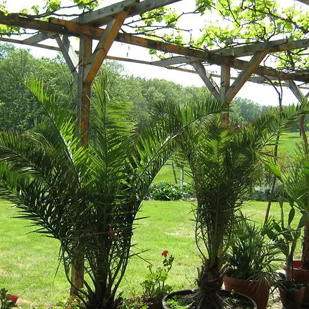 Гостевой дом Victoria Синеморец