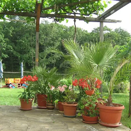 Гостевой дом Victoria Синеморец