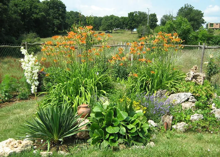 Victoria 2* Sinemoretz