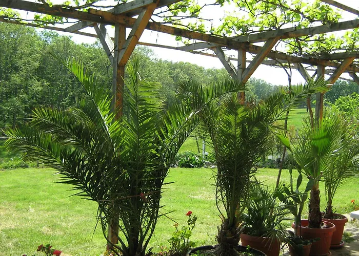 Pensionat Victoria Sinemoretz