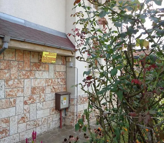 Pensionat Victoria Sinemoretz