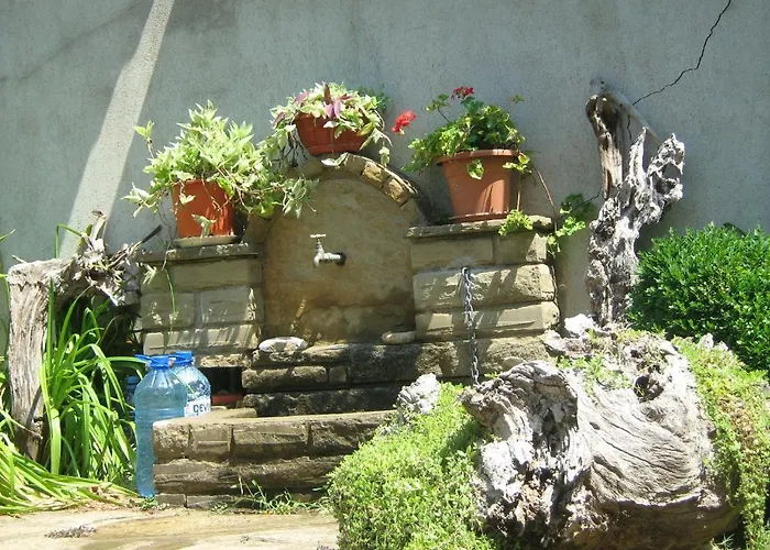 Pensionat Victoria Sinemoretz