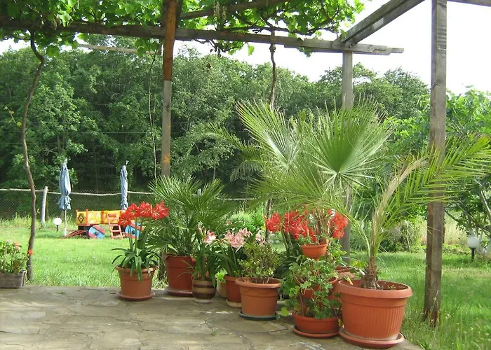 Pensionat Victoria Sinemoretz